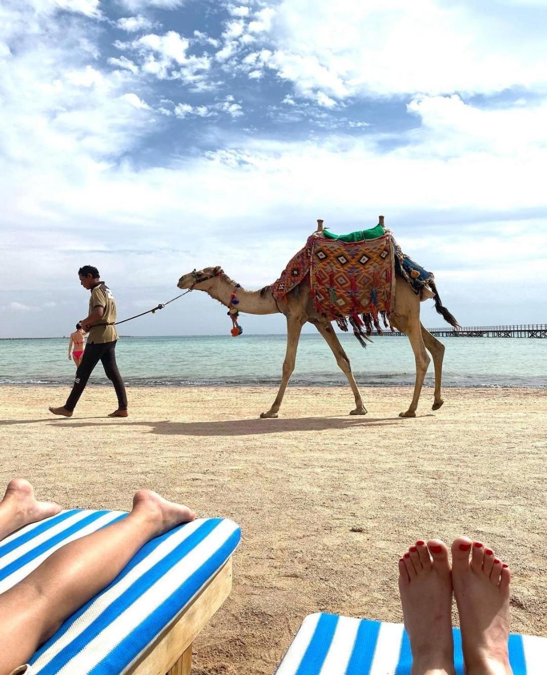 Romance Regency Club (Adults Only) Sharm-el-Sheikh Buitenkant foto